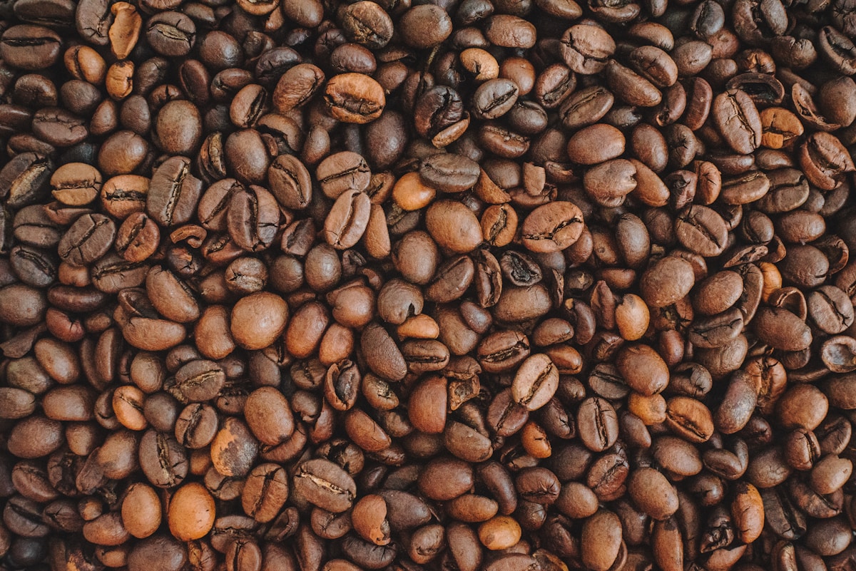 Java Robusta - Green coffee beans